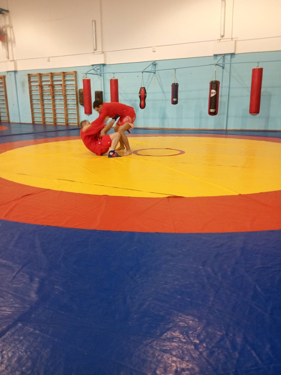 05-06.11.2025, в Великих Луках, на базе академии физической культуры и спорта проходил областной семинар по единоборствам. 05-06.11.2025, в Великих Луках, на базе академии физической культуры и спорта проходил областной семинар по единоборствам.