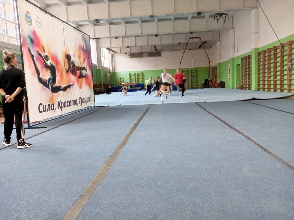 11-12 ноября 2025 года, в Великих Луках, состоялся очередной областной семинар по видам спорта, а именно по гимнастике.